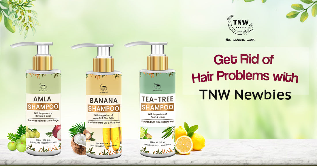 Newbies in House - Know Everything about our NEW Shampoo Range