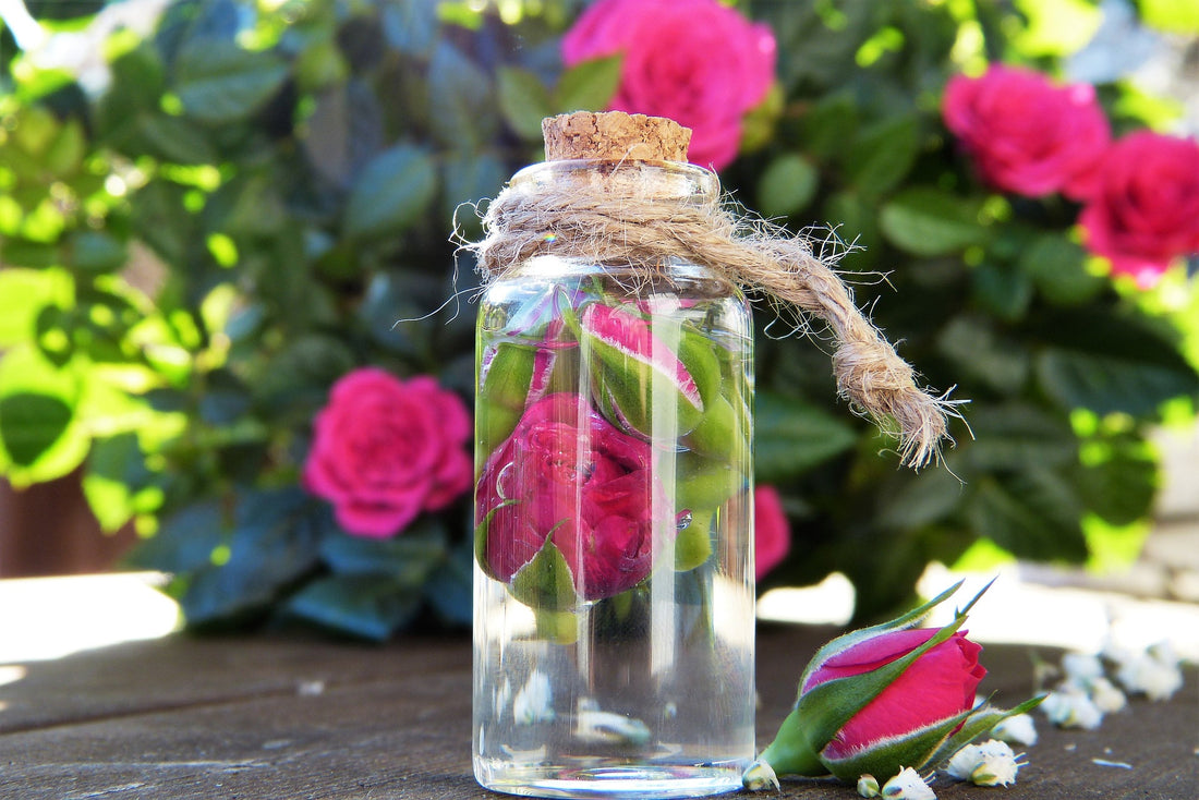Rose Water: What is it and Some Surprising Ways To Use It