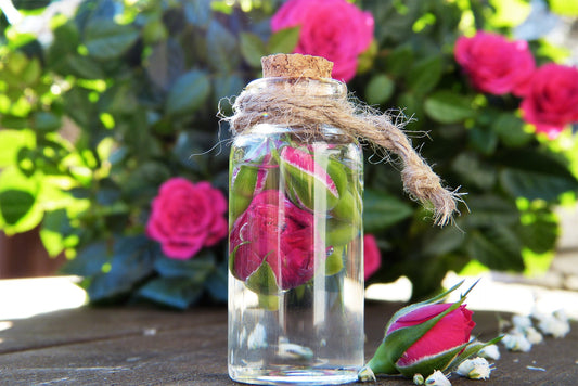 Rose Water: What is it and Some Surprising Ways To Use It