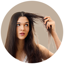 <strong>Dry & Frizzy Hair</strong>