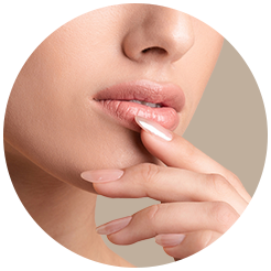 <strong>Lip Concerns</strong>